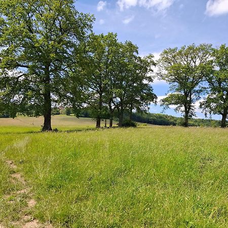 Chambres D'Hotes Sous Les Chenes Gondenans-Montby Zewnętrze zdjęcie