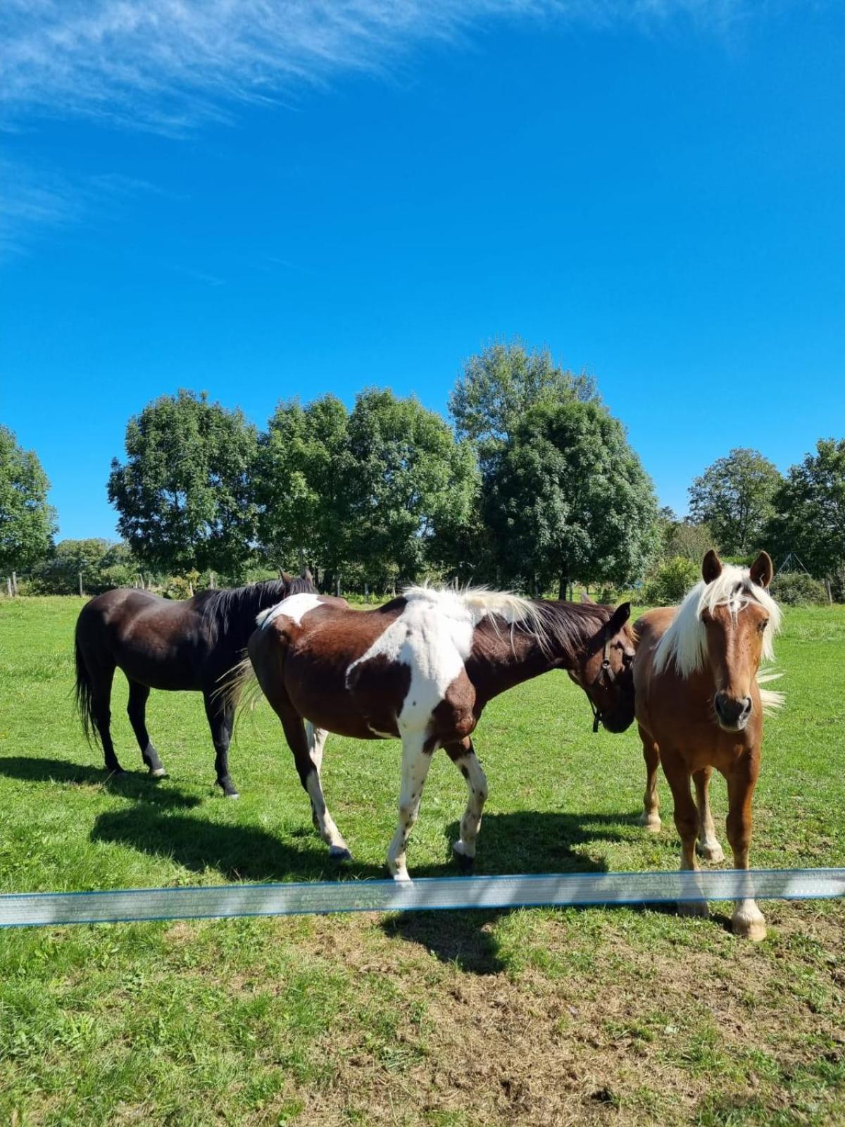 Chambres D'Hotes Sous Les Chenes Gondenans-Montby Zewnętrze zdjęcie